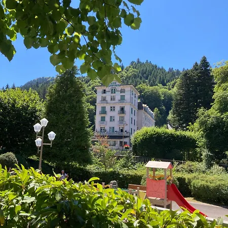 Appartement Nid Douillet Avec Balcon Mont-Dore